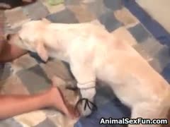 The pet is being enjoyed by the mother and daughter.